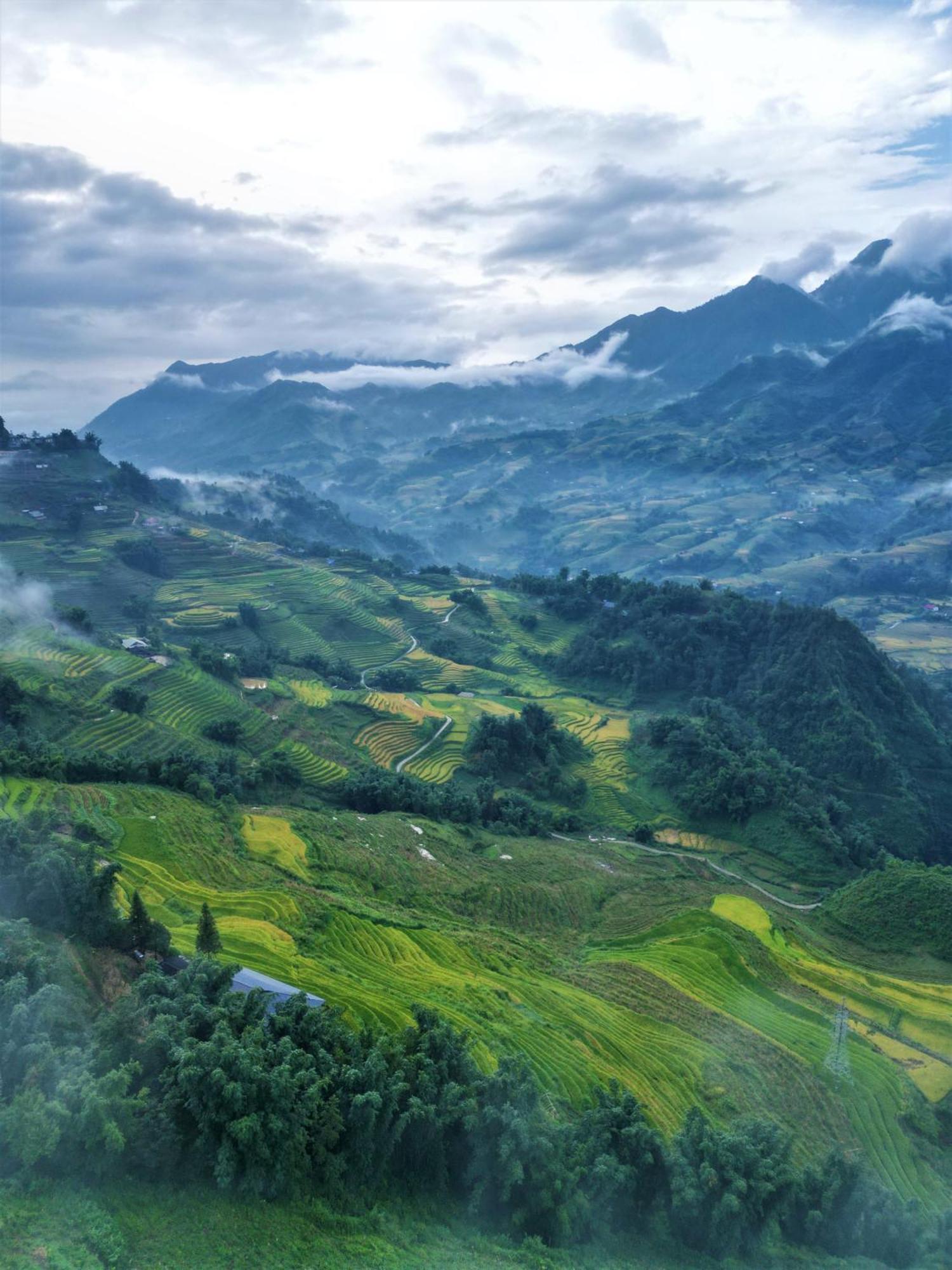 Phansi - Glamping, View Point 360, Bar & Bbq Sa Pa Exterior photo